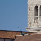 Otok Krk_12