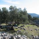 Otok Krk_34