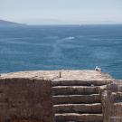 Otok Krk_45