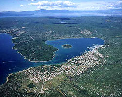 punat